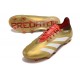 adidas Predator Elite FG Or Blanc Rouge